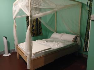 a bed with a canopy in a green room at Patience Airport cottages in Boma la Ngombe