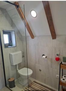 a bathroom with a toilet and a glass shower stall at Ninina koliba-vikendica Manjaca in Hiseti +16 photos