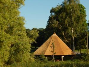 a thatch roofed hut in a field with trees at Landhaus Klein Markow in Jördenstorf