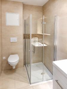 a bathroom with a shower and a toilet and a sink at Landhaus Klein Markow in Jördenstorf