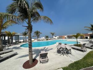 a palm tree and lounge chairs next to a swimming pool at Private pool house near the beach in Heroica Alvarado