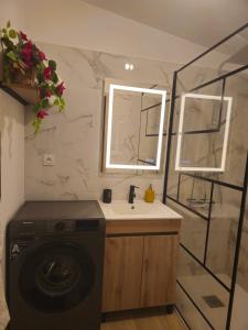 a bathroom with a washing machine and a sink at Le Nid De Mouroux - Disney 20 min - Clim & Parking in Mouroux +37 photos