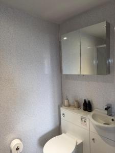 a bathroom with a white toilet and a sink at Ben Wyvis View Annexe in Inverness +10 photos