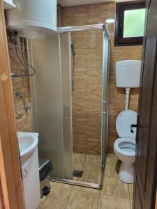 a small bathroom with a toilet and a shower at Vila Arena in Mandići