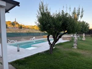 a tree in a yard with a swimming pool at Sueña Toledo- Apartamentos turisticos con piscina in Toledo