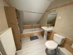 a small bathroom with a toilet and a sink at Nid Douillet in Forbach
