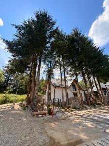 a house with a bunch of trees in front of it at Tiny Folk in Gărâna