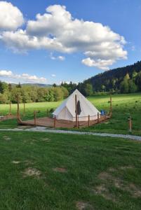 a white tent in the middle of a field at Glamping-Dimbo in Krynica Zdrój