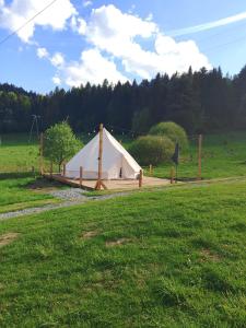 a white tent in a field in a field at Glamping-Dimbo in Krynica Zdrój