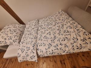 two pillows sitting on the floor in a room at PoBytPodivín in Podivín