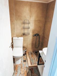a bathroom with a toilet and a shower at Hotel Galini Polychrono in Polychrono +5 photos