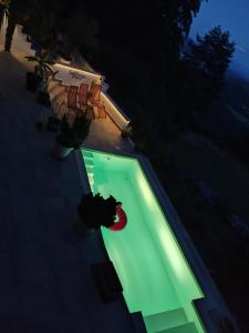 a green pool with a red frisbee in it at Landhaus Karawankenblick, Saurachberg 42 in Himmelberg