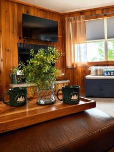 a table with three plants in a living room at A Shore Thing: Beach Access in Saint Germain +34 photos