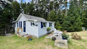 a small white house in a yard with trees at Whispering Spruces; Cozy Studio with Queen Bed & W in South Thomaston