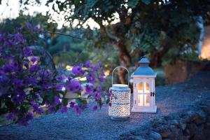 a lantern sitting on the ground next to purple flowers at Romantic Hotel & Restaurant Villa Cheta Elite in Maratea