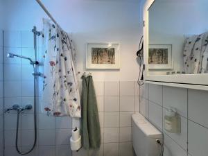 a bathroom with a shower and a toilet at Bungalow Louise in Dobbertin in Dobbertin +42 photos