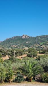 a mountain in the distance with palm trees in the foreground at Casa Manchia in Loiri