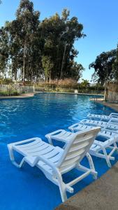 a row of lounge chairs in a swimming pool at Comodidad, descanso y disfrute in Algarrobo