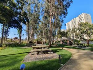 a park with a picnic table in the grass at Comodidad, descanso y disfrute in Algarrobo