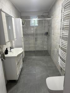a bathroom with a shower and a sink and a toilet at Apartmani L&V in Kula +7 photos