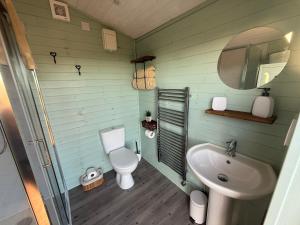 a green bathroom with a toilet and a sink at The Drey in Trelleck