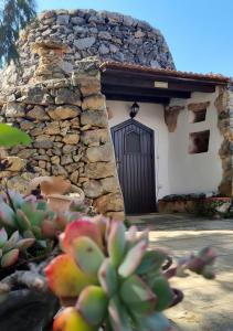 a stone building with a door and a cactus at Trullo Salento in Galatone
