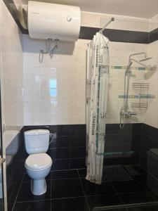 a bathroom with a toilet and a shower at Haus am Strand in Bar