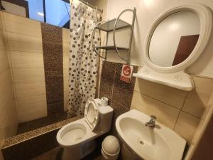 a bathroom with a toilet and a sink and a mirror at Hotel Palace in Huancayo