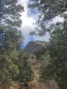 a view of a mountain through the trees at Pagosa Chi Camps in Pagosa Springs +2 photos