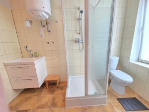 a bathroom with a shower and a toilet at Apartament Gruba Foka in Hel