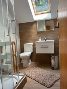 a bathroom with a toilet and a sink and a window at Penzion Richnava in Štiavnické Bane +37 photos