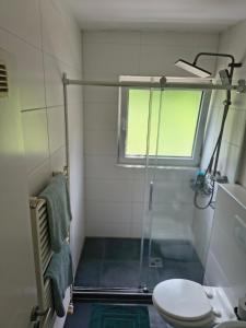 a bathroom with a shower with a toilet and a window at Schickes Apartment in Herten +31 photos