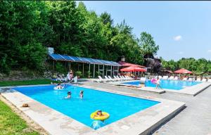 a group of people in a swimming pool at DENY INN Funland in Zărneşti