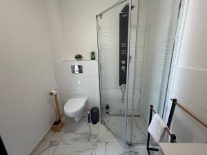 a bathroom with a toilet and a glass shower at Concept Residence in Târgu-Mureş +35 photos