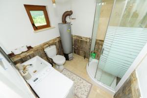 a bathroom with a shower and a toilet and a sink at Doru' Bucovinei in Moldoviţa +54 photos