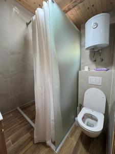 a small bathroom with a toilet and a shower at Theforestheaven in Brđani