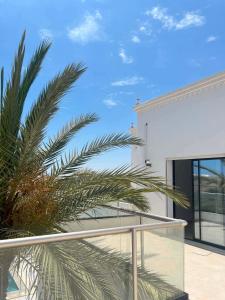a palm tree in front of a white building at Dar sirine in Arkou