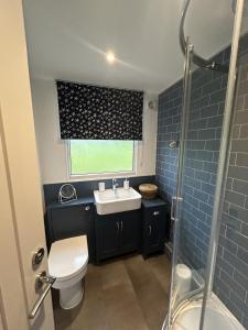 a bathroom with a toilet and a sink and a shower at SeaStar Dartmouth in Dartmouth