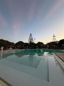 a large pool of water with trees in the background at Boustan homes in Cabo Negro