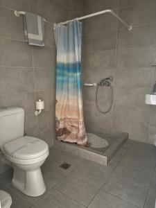 a bathroom with a toilet and a shower at Angelos Studios in Ilia +73 photos