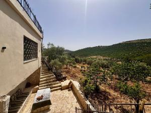 a set of stairs leading to a building with a view at Oak Farm مزرعة الملّول in Ajloun
