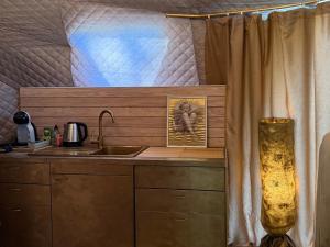 a kitchen with a sink and a shower curtain at Couple Luxury Villa in Apšuciems
