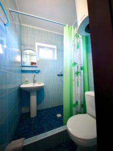 a bathroom with a green shower curtain and a toilet at Hotel Elion in Zatoka +64 photos