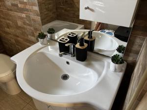 a white bathroom sink with plants on it at Gunilak in Dombóvár +13 photos