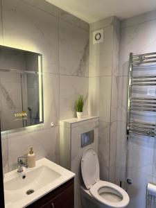 a bathroom with a toilet and a sink at Amara in Zlatibor