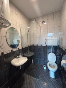 a bathroom with a toilet and a sink and a mirror at Aurea Novi 3 in Herceg-Novi