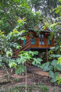 ein Baumhaus mitten im Wald in der Unterkunft Hostal Caño Nevera in La Macarena