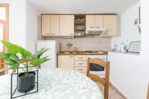 a kitchen with a table with a potted plant at Apartments with parking space Sutivan, Brac - 2846 in Sutivan