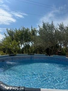 a swimming pool with blue water in a yard at Gazdinstvo Đurović in Dobra Voda