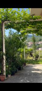 an archway with trees and plants in pots at Miković Apartments in Herceg-Novi
